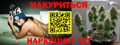 дживик Камышлов