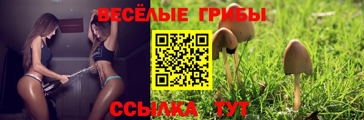 Галлюциногенные грибы мицелий Миллерово