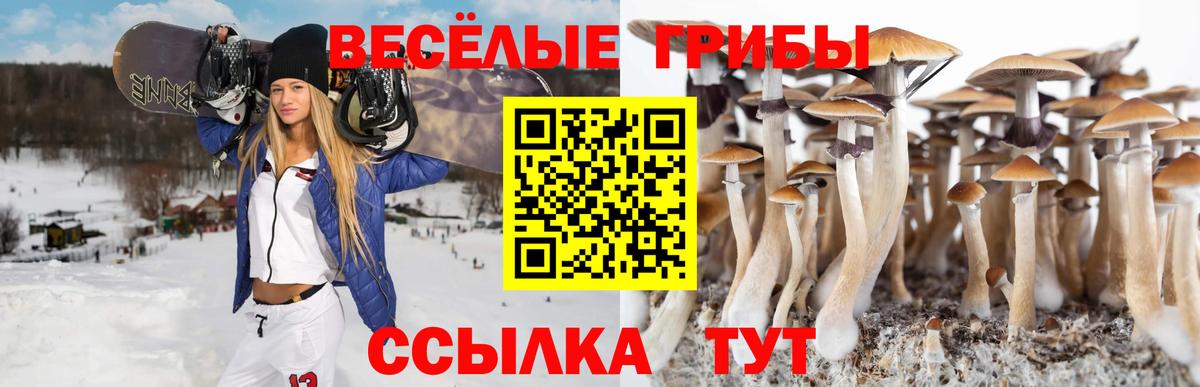 Псилоцибиновые грибы прущие грибы  Вход с VPN  Миллерово 